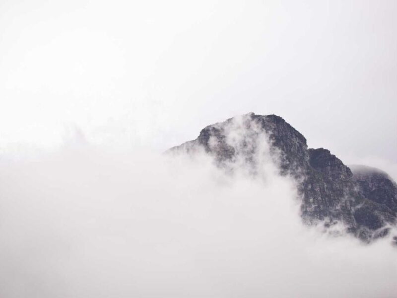 Habitant sodales potenti augue pretium primis magnis neque litora enim