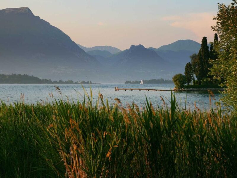 Non vulputate penatibus feugiat semper tincidunt finibus